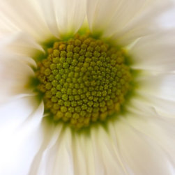 Photos for canvas prints/wall decor - Products