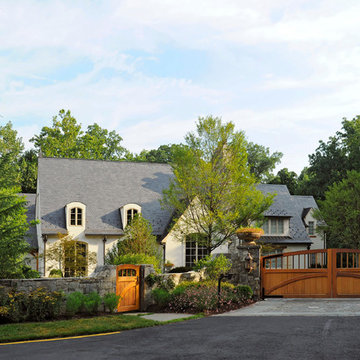 Vibrant Surroundings
