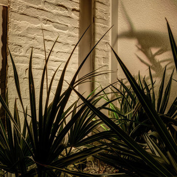 Landscape Lighting