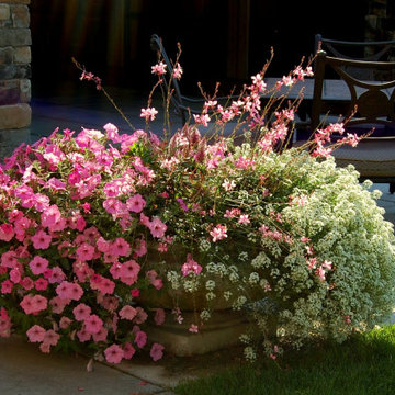 Annual planters