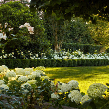 MCLEAN TIMELESS GARDEN