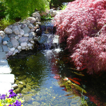 Custom Koi Pond Installation