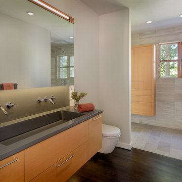 Lake Oswego Modern