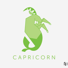 Designing With the Stars: Capricorn