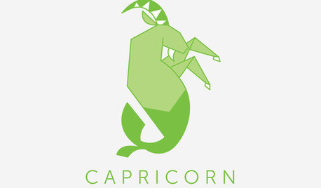Designing With the Stars: Capricorn
