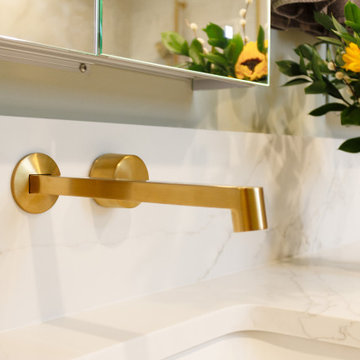 Smart Bath in Arlington Heights