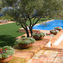Backyard Layout Ideas