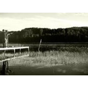 Kevin Arsenault's photo