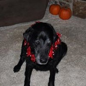 Judy Eschman's photo