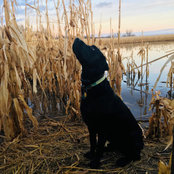 Jason Roth's photo