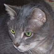 Diane Mcclure's photo