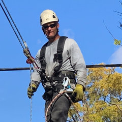 ArborAxepert Tree Service