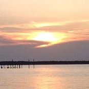 Margo Burgess's photo
