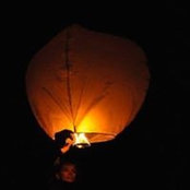 Silvia Martinez's photo