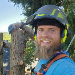 Anchor Tree Service