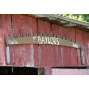Kathy Baylors billede