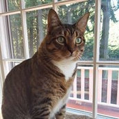 LuAnn Strauss's photo