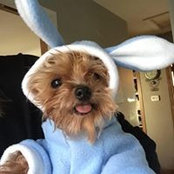 Katey Tschida-Johnson's photo