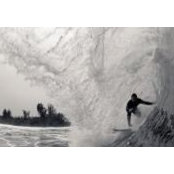 Ryan Harris's photo