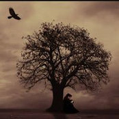Tonya Starr's photo