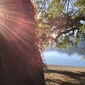 Photo de Tamara Krell