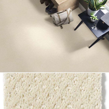 Shaw Anso Originals Square One EA500 Residential Carpet