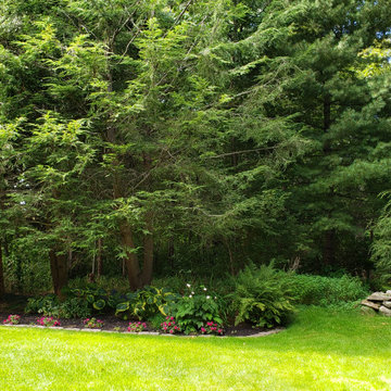 Design around existing trees