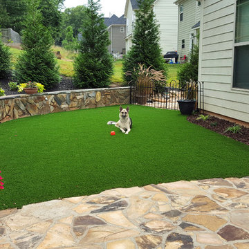 Backyards