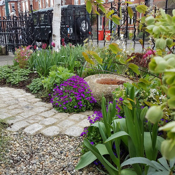 Perennial Garden in the City