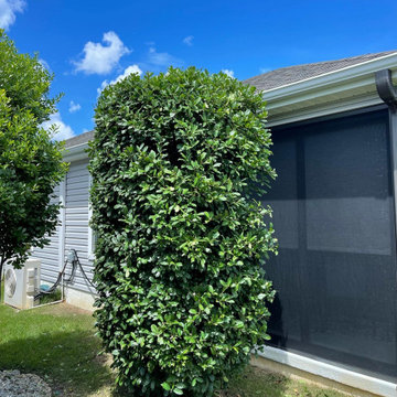 New Landscaping Jobs