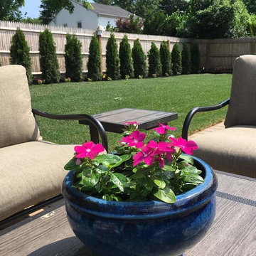 Summer Flowers (Vinca)