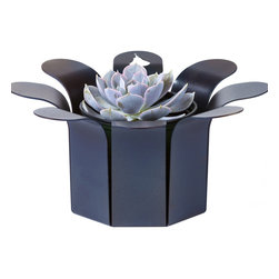 Mini 6 Planter / Herb Container - Outdoor Pots And Planters