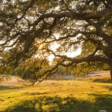land(riding hunting pasturing)