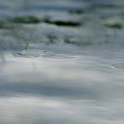 Photography - Photographs