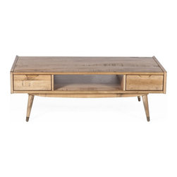 The Gaal 2 Drawer Coffee Table - Coffee Tables
