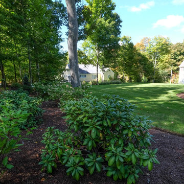 Westford Street Garden