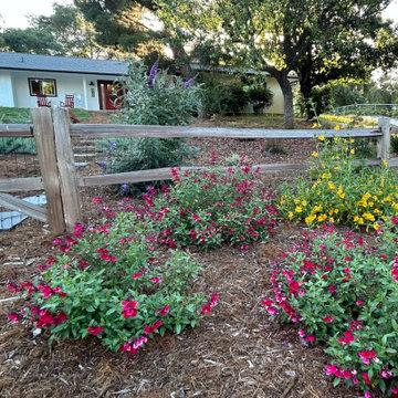 Encinitas Pollinator Garden
