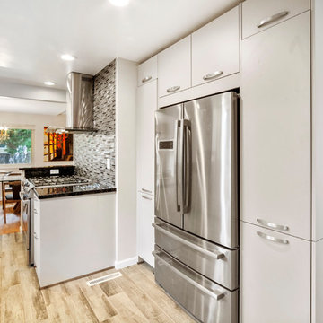 Monochrome Contemporary Kitchen