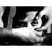 Sarah Williams's photo