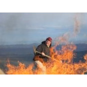 Allan Jacobs's photo