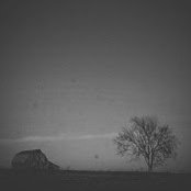 Sharon C.'s photo