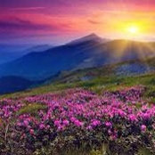 Sonia Santos's photo