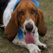 Shelly Bramm's photo