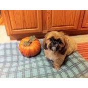 Charlene Khoury's photo