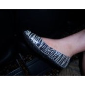 Jersey Goetz's photo