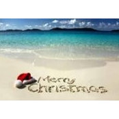 Cathy Schuman's photo