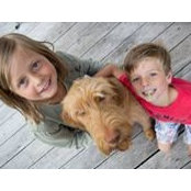 Catherine Abbott's photo