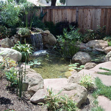 Fountain garden