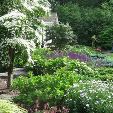 Frontyard Landscape Connecticut
