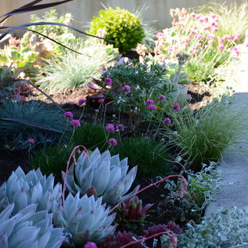 Contemporary Seaside Garden